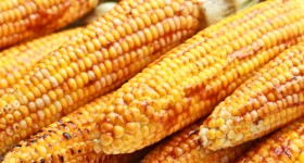 grilled-corn.jpg Grilled Corn