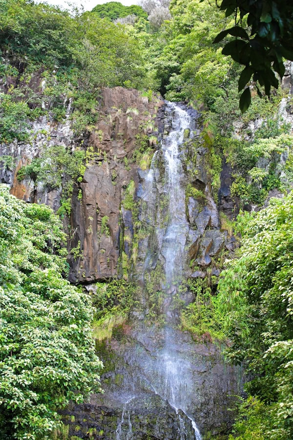 maui-waterfall.jpg Maui Waterfall