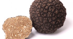 truffleimagecloseup_istock_000015145684medium-2