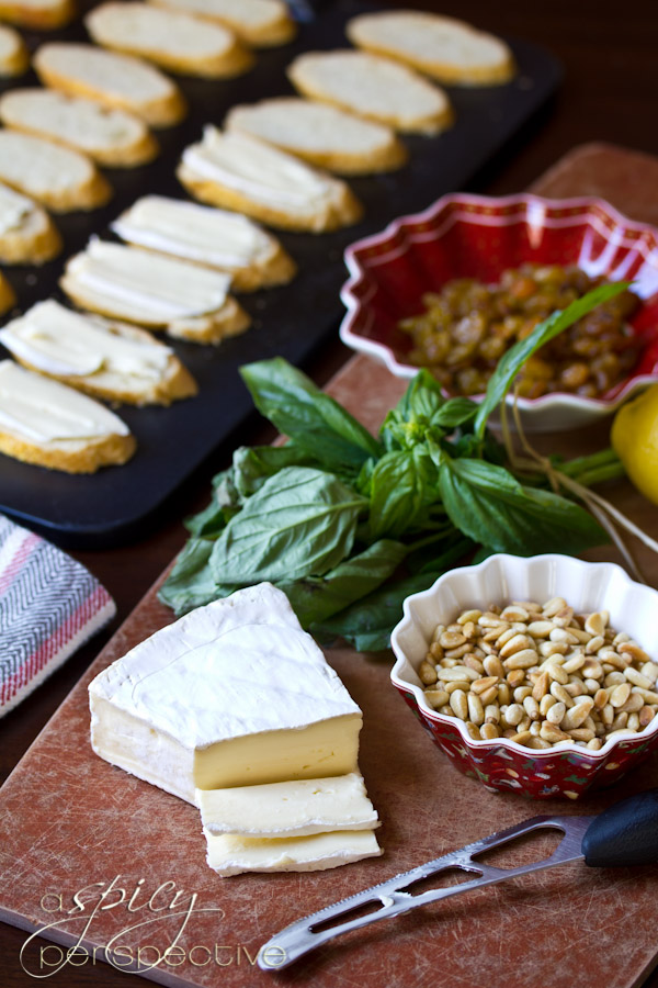 Brie Toasts  | ASpicyPerspective.com