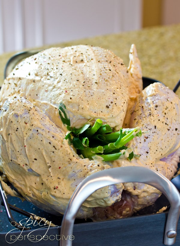 Oven Roasted Turkey Rub | ASpicyPerspective.com #thanksgiving #recipes #turkey